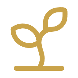 Icon Principle Develop