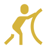 Icon Topic QLI Motivation Recognition