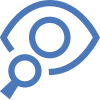 Icon Topic QLO Vision Strategy Direction